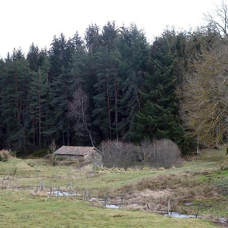 Villa La Crova Félines Esterno foto