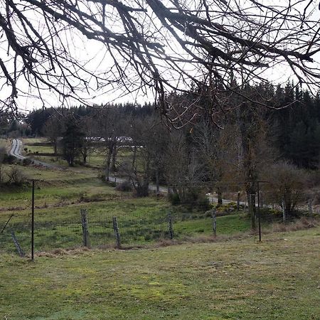 Villa La Crova Félines Esterno foto