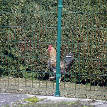 Villa La Crova Félines Esterno foto