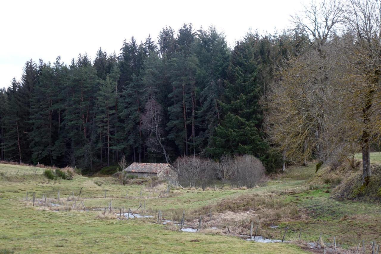 Villa La Crova Félines Esterno foto