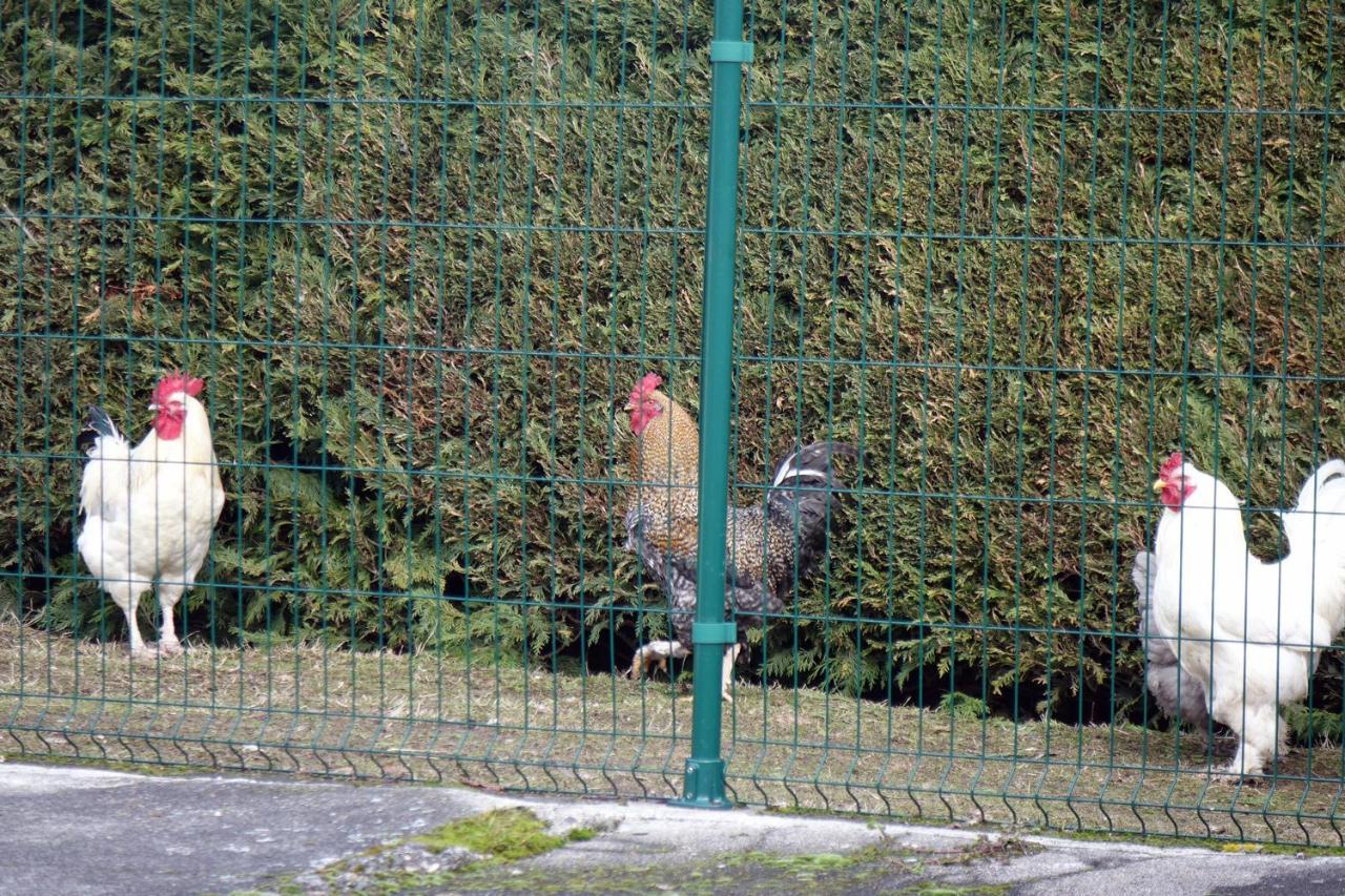 Villa La Crova Félines Esterno foto
